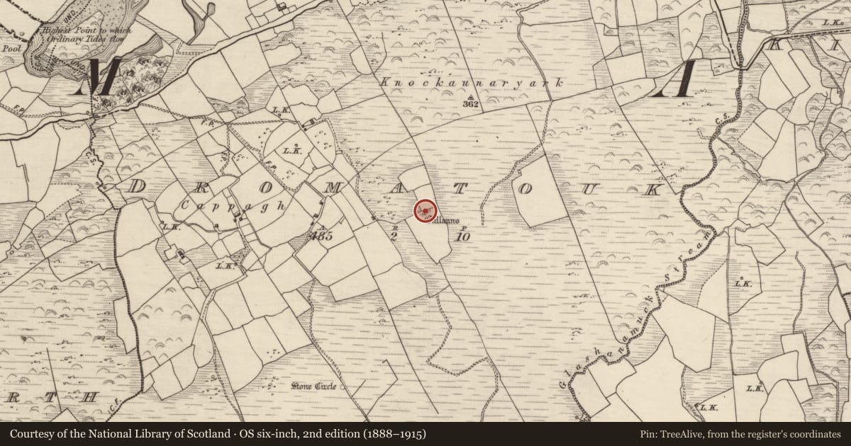 Ordnance Survey six-inch map, 2nd edition (1888–1915) covering the location of Ogham stone, Dromatouk, County Kerry, with a pin at the register's coordinates