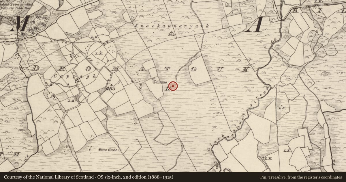 Ordnance Survey six-inch map, 2nd edition (1888–1915) covering the location of Burnt spread, Dromatouk, County Kerry, with a pin at the register's coordinates