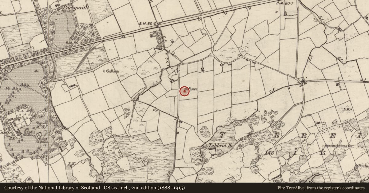 Ordnance Survey six-inch map, 2nd edition (1888–1915) covering the location of Standing stone, Claddanure East, County Kerry, with a pin at the register's coordinates