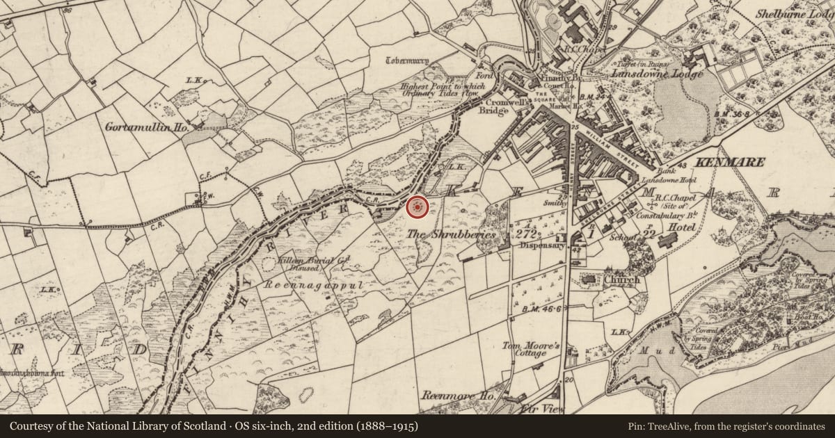 Ordnance Survey six-inch map, 2nd edition (1888–1915) covering the location of Stone circle - multiple-stone, Kenmare, County Kerry, with a pin at the register's coordinates