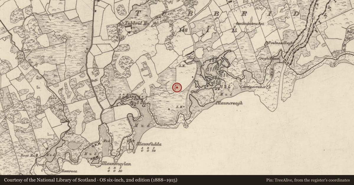 Ordnance Survey six-inch map, 2nd edition (1888–1915) covering the location of Ringfort - cashel, Tubbrid, County Kerry, with a pin at the register's coordinates