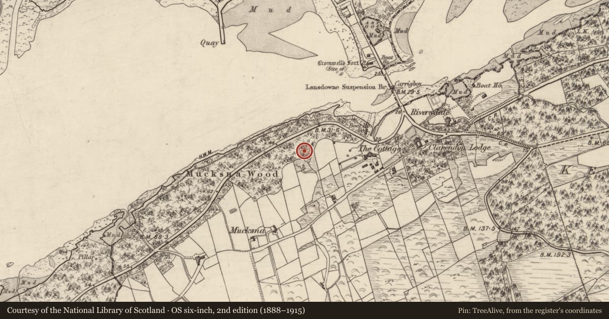 Ordnance Survey six-inch map, 2nd edition (1888–1915) covering the location of Standing stone, Mucksna, County Kerry, with a pin at the register's coordinates