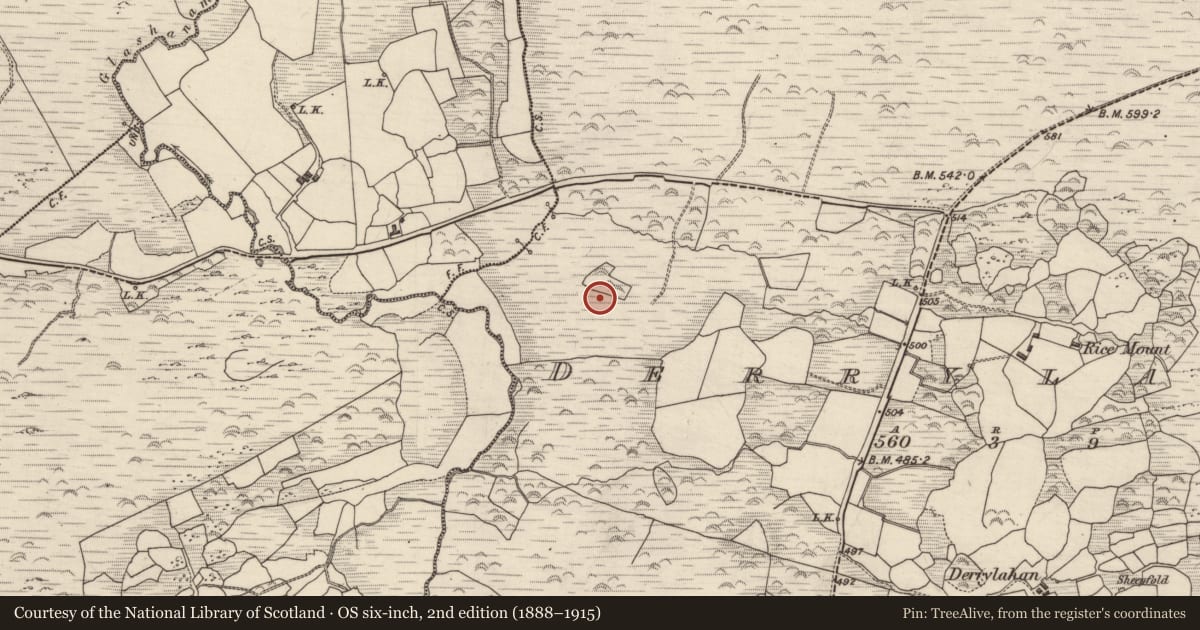 Ordnance Survey six-inch map, 2nd edition (1888–1915) covering the location of Field system, Derrylahan, County Kerry, with a pin at the register's coordinates
