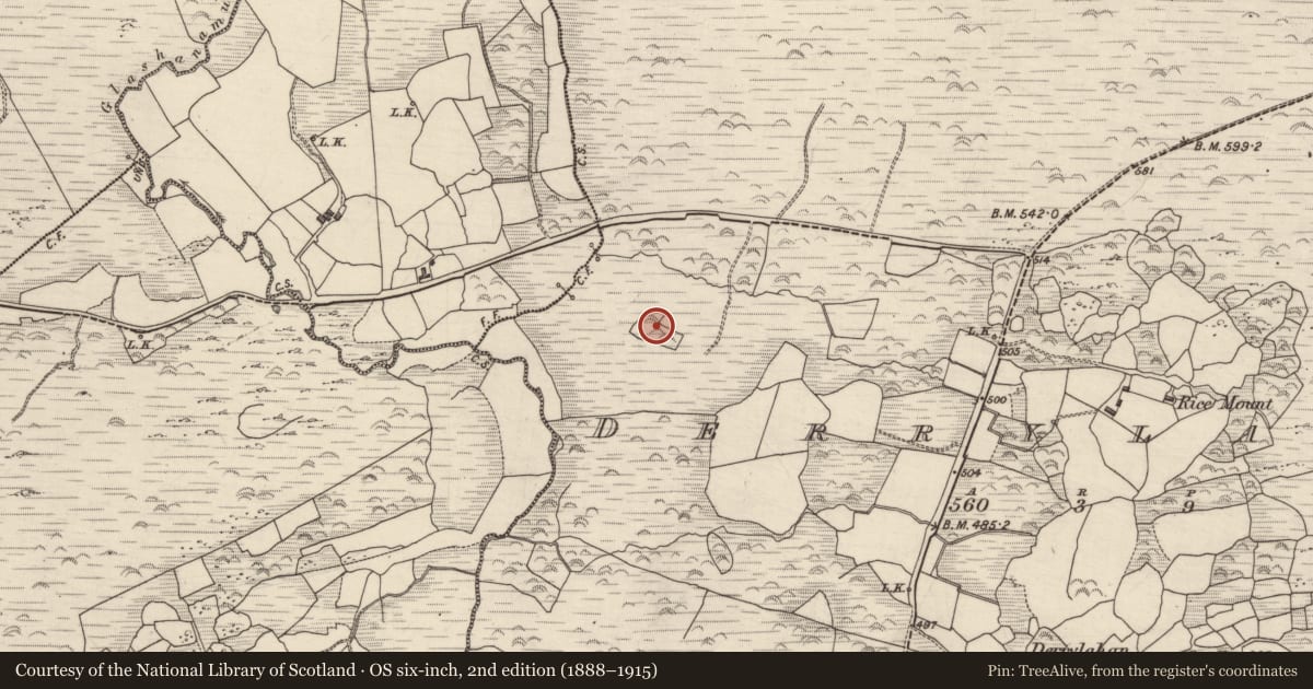 Ordnance Survey six-inch map, 2nd edition (1888–1915) covering the location of Enclosure, Derrylahan, County Kerry, with a pin at the register's coordinates