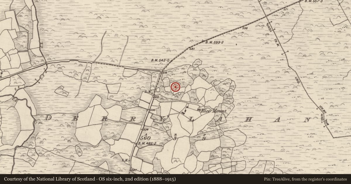 Ordnance Survey six-inch map, 2nd edition (1888–1915) covering the location of Enclosure, Derrylahan, County Kerry, with a pin at the register's coordinates
