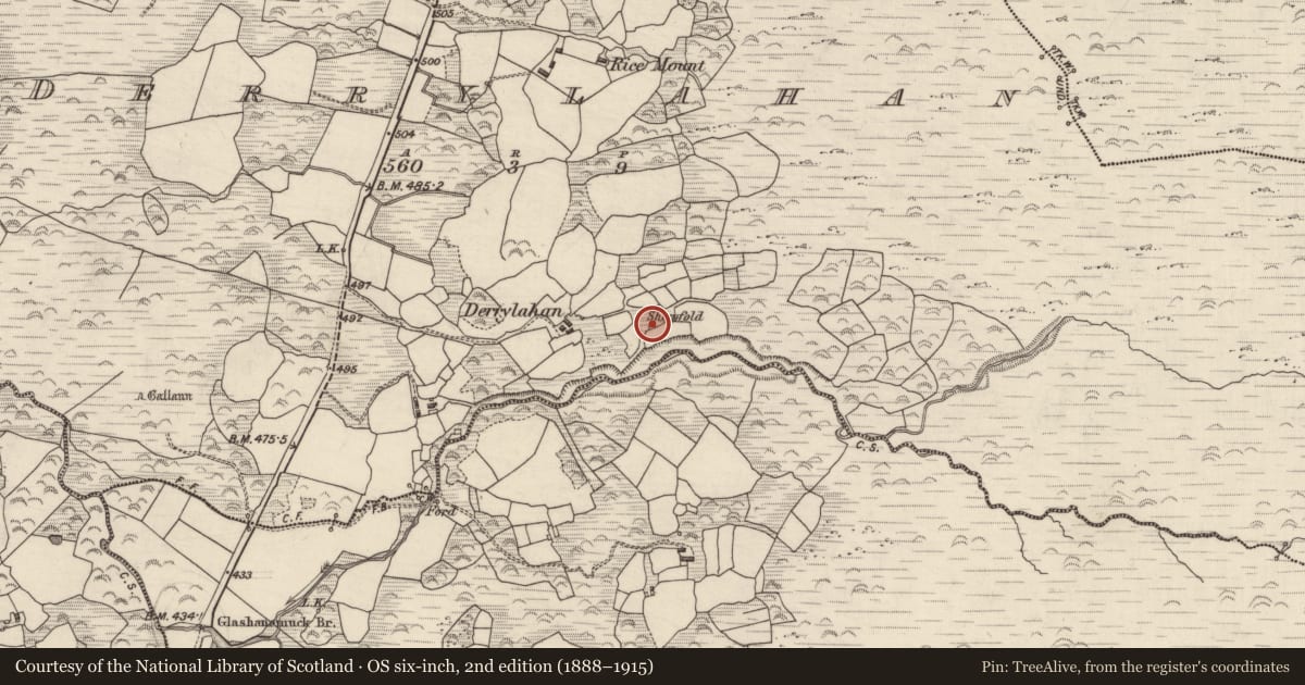 Ordnance Survey six-inch map, 2nd edition (1888–1915) covering the location of Enclosure, Derrylahan, County Kerry, with a pin at the register's coordinates