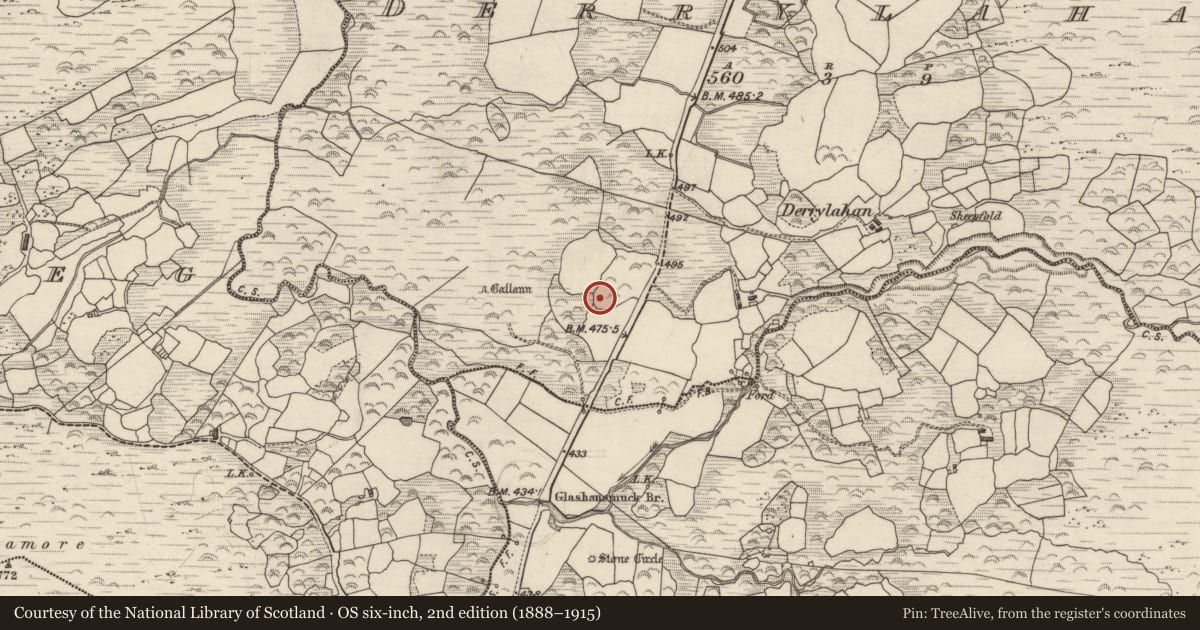 Ordnance Survey six-inch map, 2nd edition (1888–1915) covering the location of Ringfort - rath, Derrylahan, County Kerry, with a pin at the register's coordinates