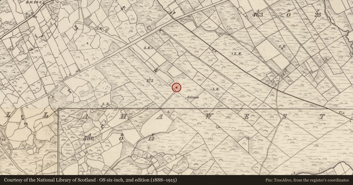 Ordnance Survey six-inch map, 2nd edition (1888–1915) covering the location of Standing stone, Killaha West, County Kerry, with a pin at the register's coordinates