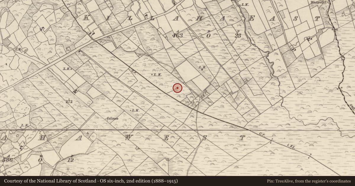 Ordnance Survey six-inch map, 2nd edition (1888–1915) covering the location of Standing stone, Killaha East, County Kerry, with a pin at the register's coordinates