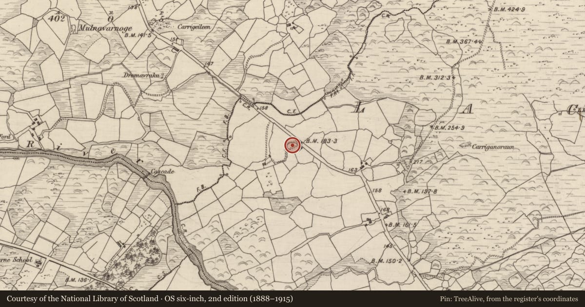 Ordnance Survey six-inch map, 2nd edition (1888–1915) covering the location of Ringfort - rath, Lackaroe, County Kerry, with a pin at the register's coordinates