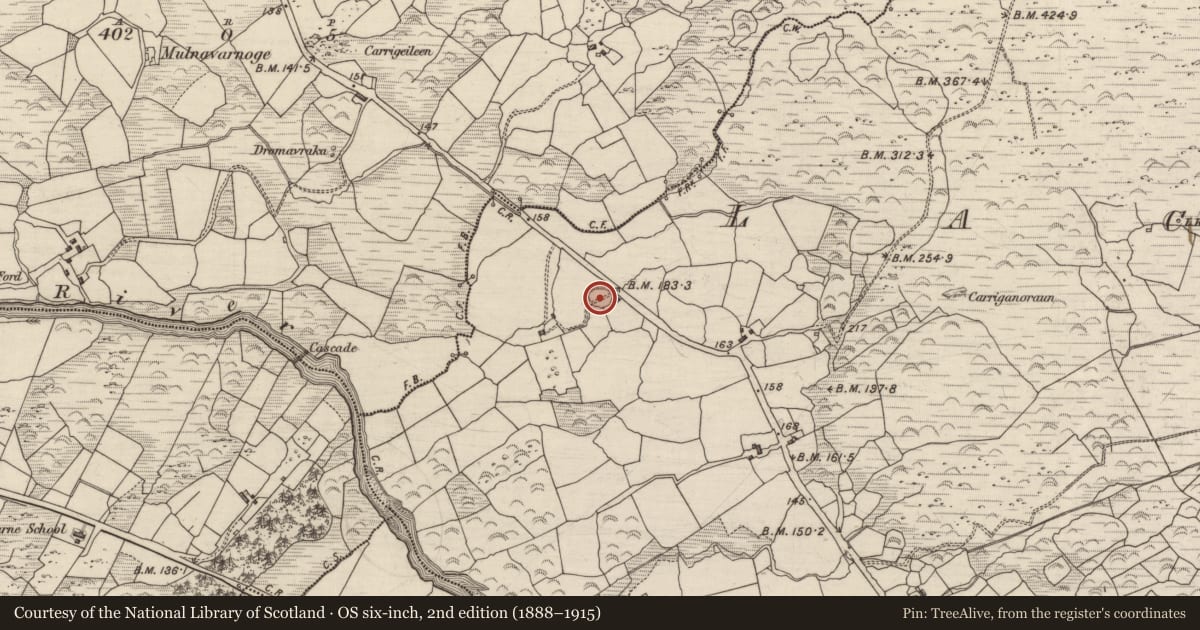 Ordnance Survey six-inch map, 2nd edition (1888–1915) covering the location of Souterrain, Lackaroe, County Kerry, with a pin at the register's coordinates
