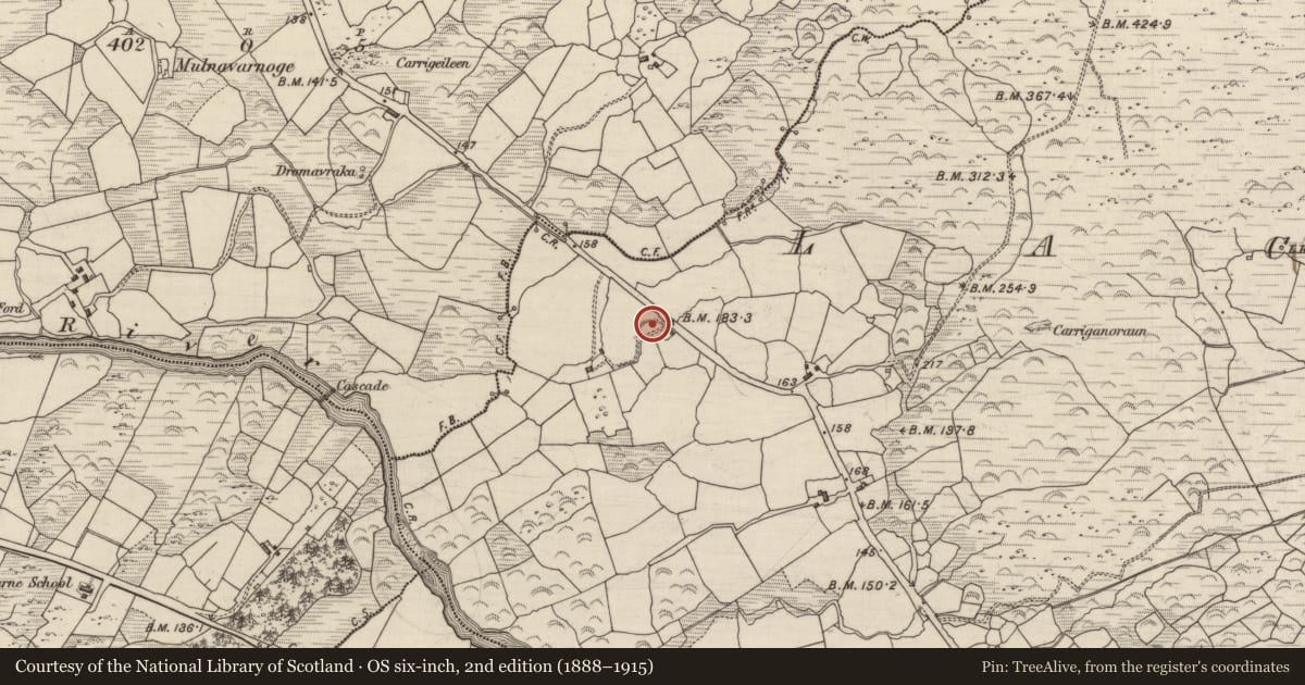 Ordnance Survey six-inch map, 2nd edition (1888–1915) covering the location of Children's burial ground, Lackaroe, County Kerry, with a pin at the register's coordinates