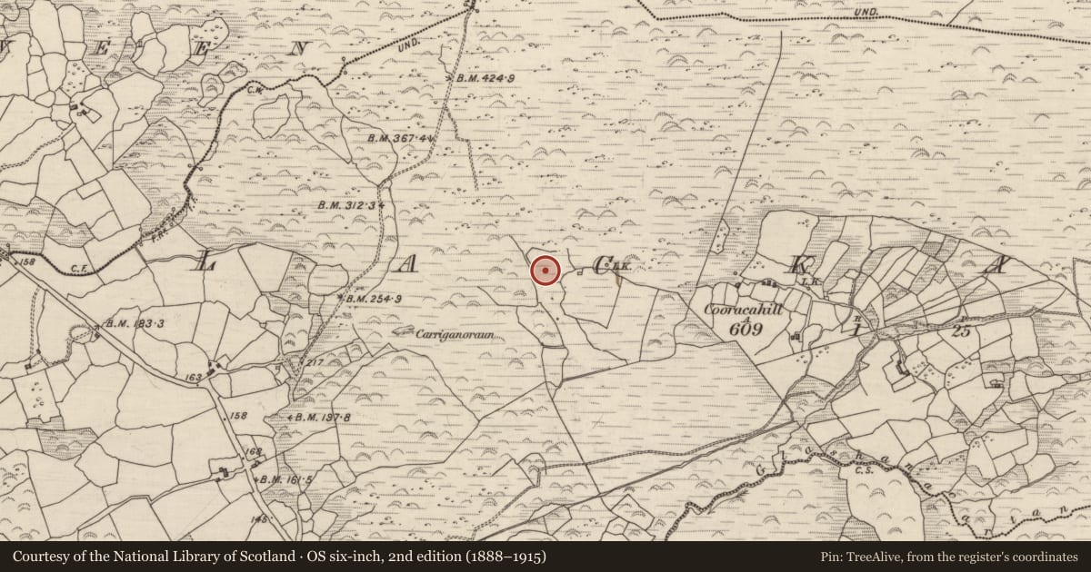 Ordnance Survey six-inch map, 2nd edition (1888–1915) covering the location of Stone circle - multiple-stone, Lackaroe, County Kerry, with a pin at the register's coordinates