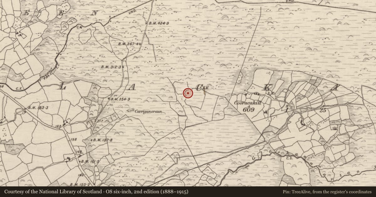 Ordnance Survey six-inch map, 2nd edition (1888–1915) covering the location of Enclosure, Lackaroe, County Kerry, with a pin at the register's coordinates