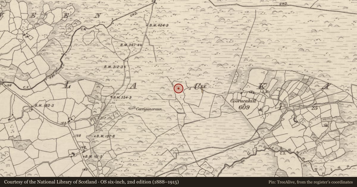 Ordnance Survey six-inch map, 2nd edition (1888–1915) covering the location of Boulder-burial, Lackaroe, County Kerry, with a pin at the register's coordinates