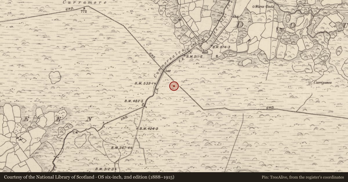 Ordnance Survey six-inch map, 2nd edition (1888–1915) covering the location of Ringfort - cashel, Lackaroe, County Kerry, with a pin at the register's coordinates