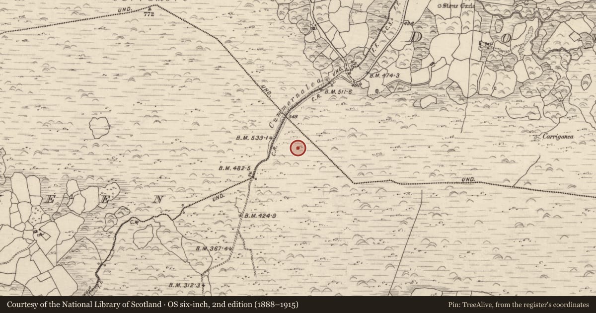 Ordnance Survey six-inch map, 2nd edition (1888–1915) covering the location of Field system, Lackaroe, County Kerry, with a pin at the register's coordinates