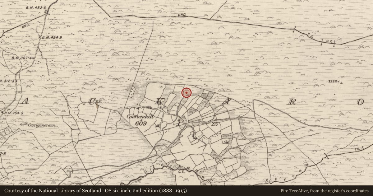 Ordnance Survey six-inch map, 2nd edition (1888–1915) covering the location of Fulacht fia, Lackaroe, County Kerry, with a pin at the register's coordinates