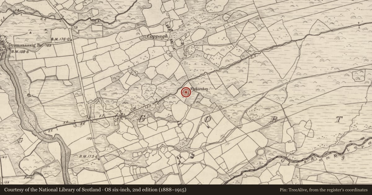 Ordnance Survey six-inch map, 2nd edition (1888–1915) covering the location of Ringfort - rath, Gortlahard, County Kerry, with a pin at the register's coordinates