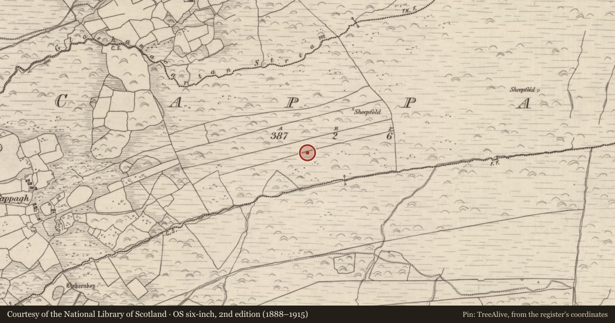 Ordnance Survey six-inch map, 2nd edition (1888–1915) covering the location of Enclosure, Cappagh, County Kerry, with a pin at the register's coordinates