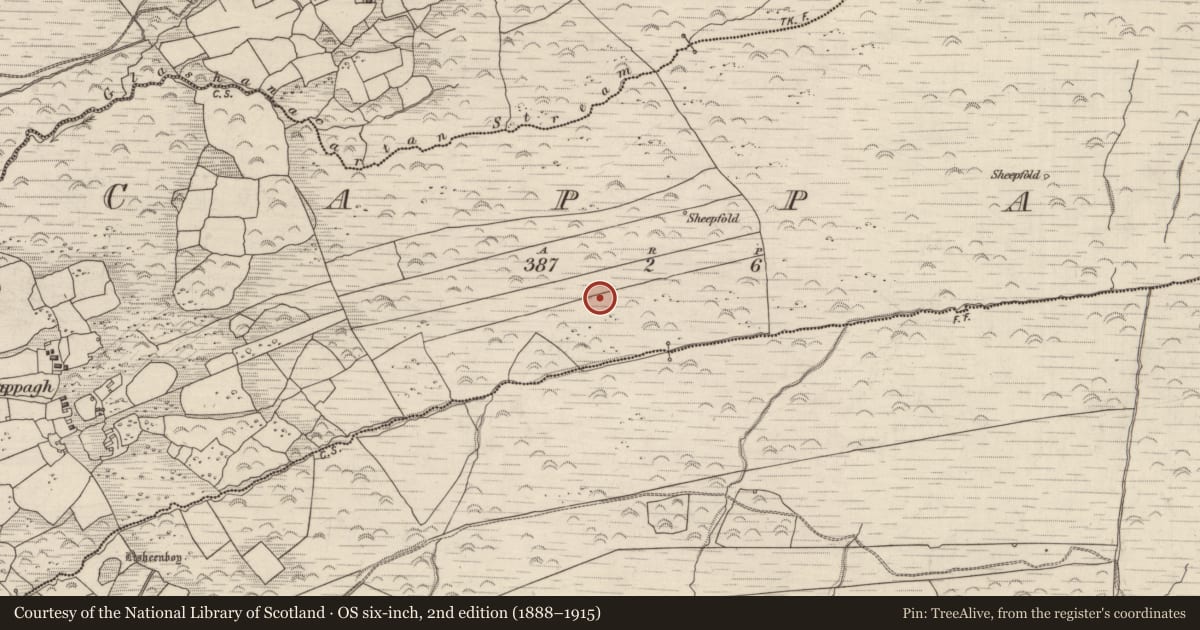 Ordnance Survey six-inch map, 2nd edition (1888–1915) covering the location of Hut site, Cappagh, County Kerry, with a pin at the register's coordinates