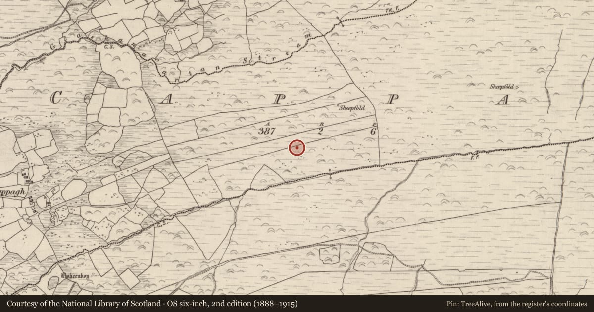 Ordnance Survey six-inch map, 2nd edition (1888–1915) covering the location of Hut site, Cappagh, County Kerry, with a pin at the register's coordinates