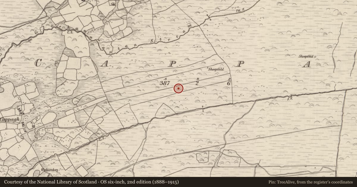 Ordnance Survey six-inch map, 2nd edition (1888–1915) covering the location of Hut site, Cappagh, County Kerry, with a pin at the register's coordinates