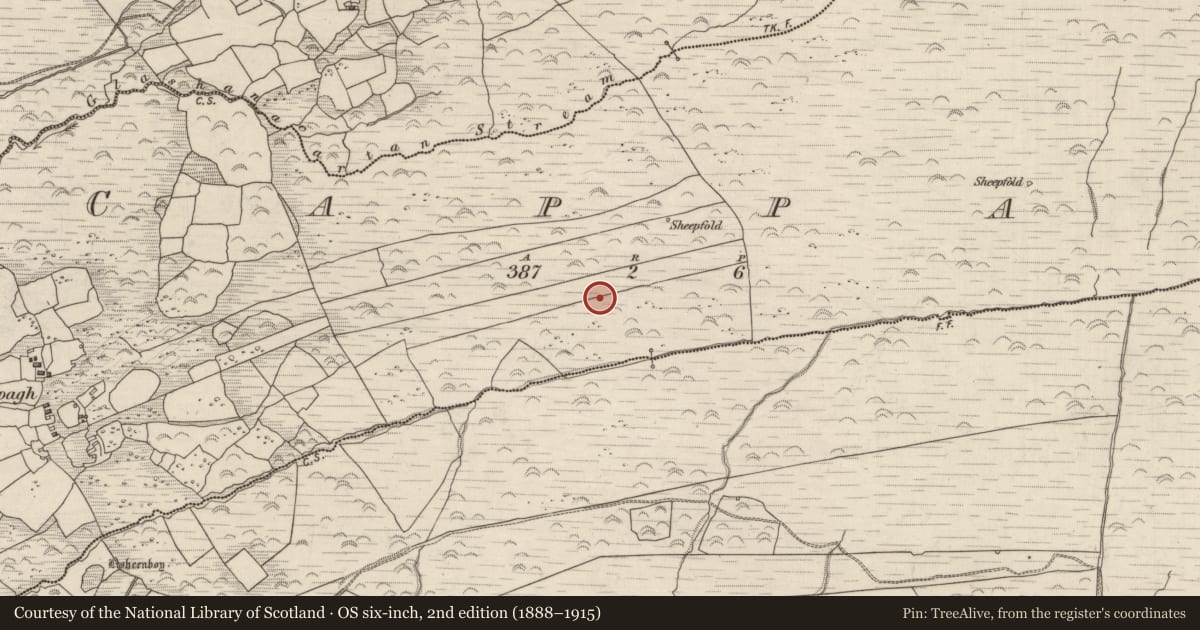 Ordnance Survey six-inch map, 2nd edition (1888–1915) covering the location of Hut site, Cappagh, County Kerry, with a pin at the register's coordinates
