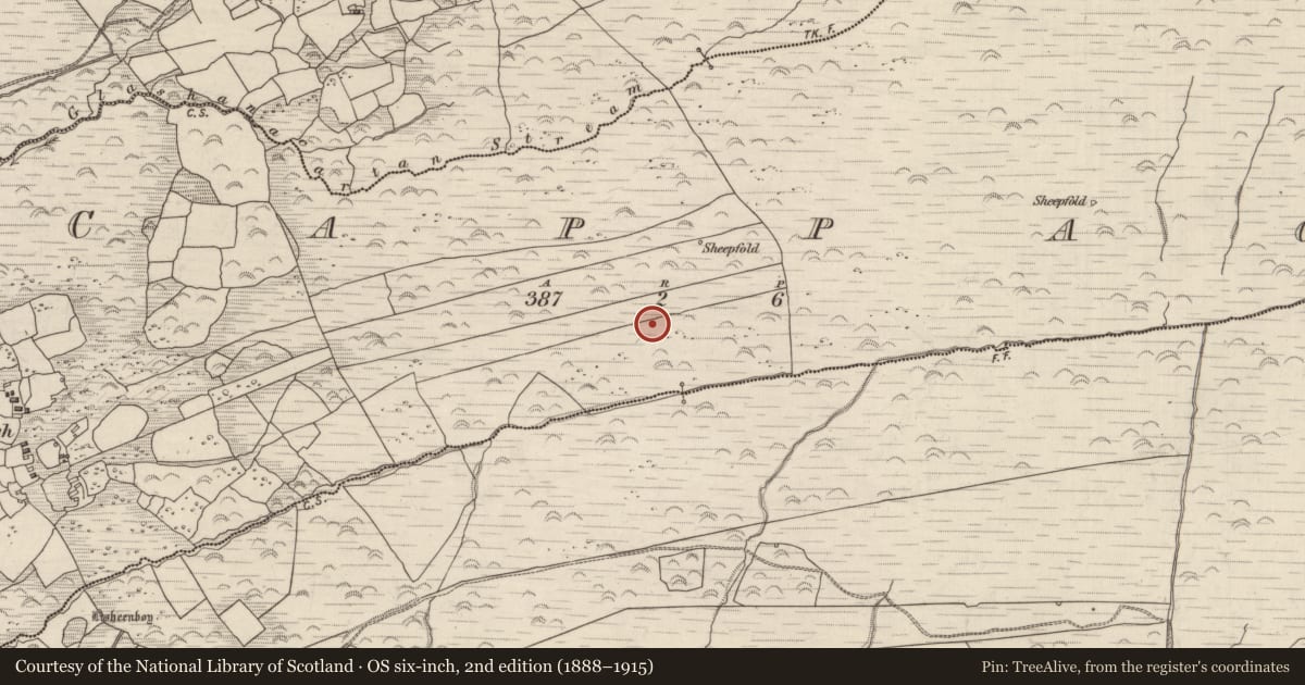 Ordnance Survey six-inch map, 2nd edition (1888–1915) covering the location of Fulacht fia, Cappagh, County Kerry, with a pin at the register's coordinates