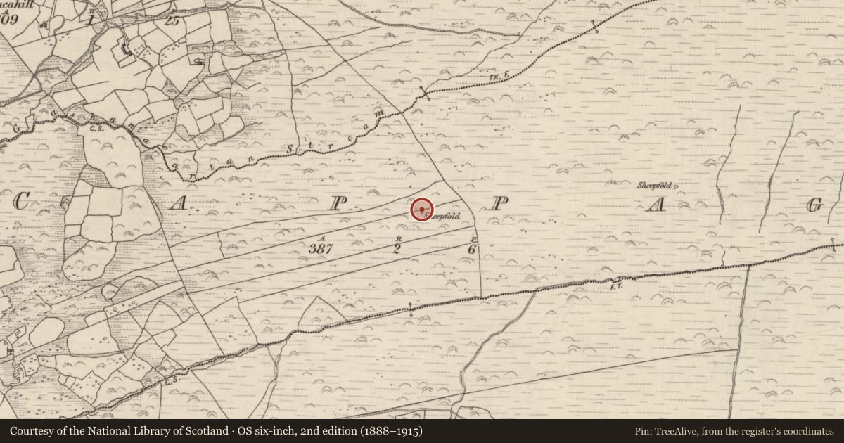 Ordnance Survey six-inch map, 2nd edition (1888–1915) covering the location of Hut site, Cappagh, County Kerry, with a pin at the register's coordinates