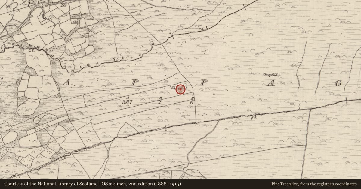 Ordnance Survey six-inch map, 2nd edition (1888–1915) covering the location of Enclosure, Cappagh, County Kerry, with a pin at the register's coordinates