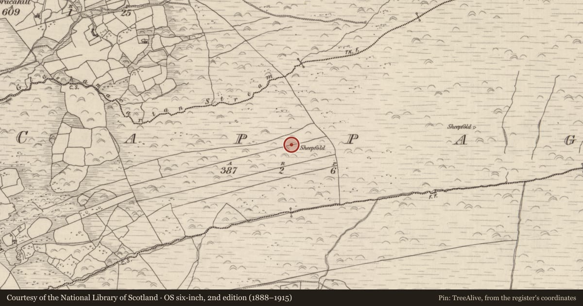 Ordnance Survey six-inch map, 2nd edition (1888–1915) covering the location of Field boundary, Cappagh, County Kerry, with a pin at the register's coordinates