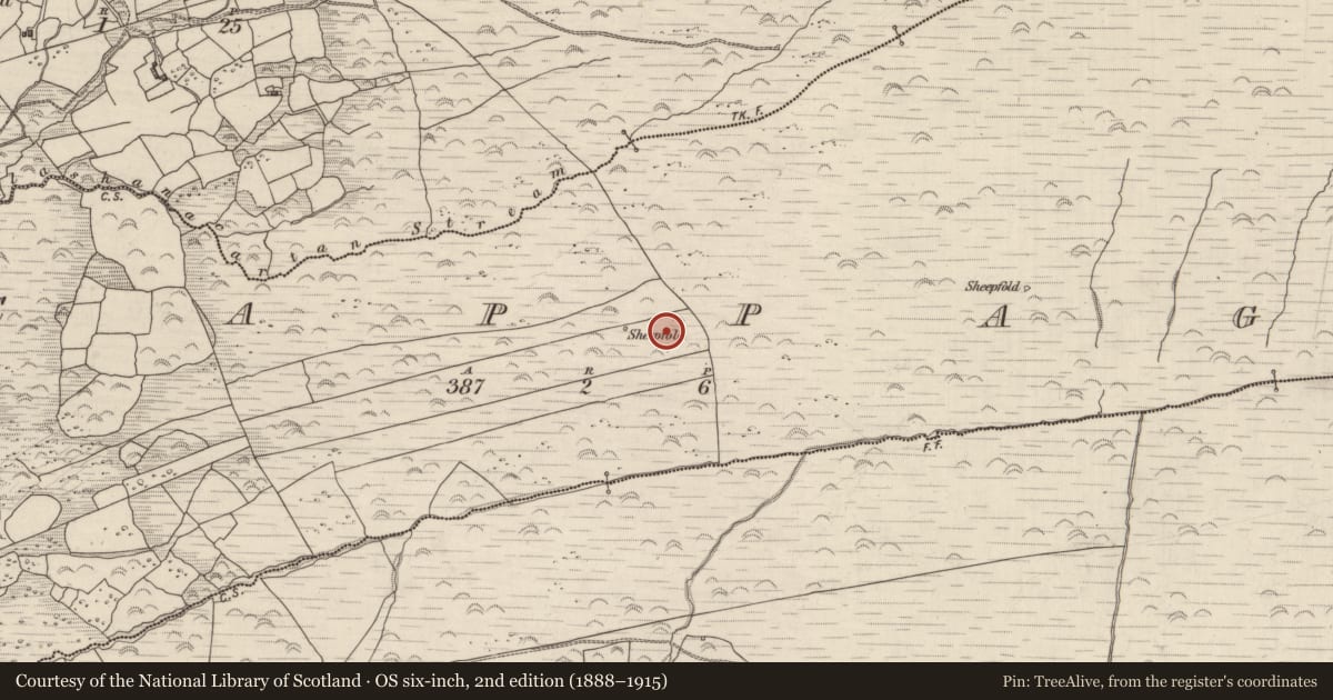 Ordnance Survey six-inch map, 2nd edition (1888–1915) covering the location of Field boundary, Cappagh, County Kerry, with a pin at the register's coordinates