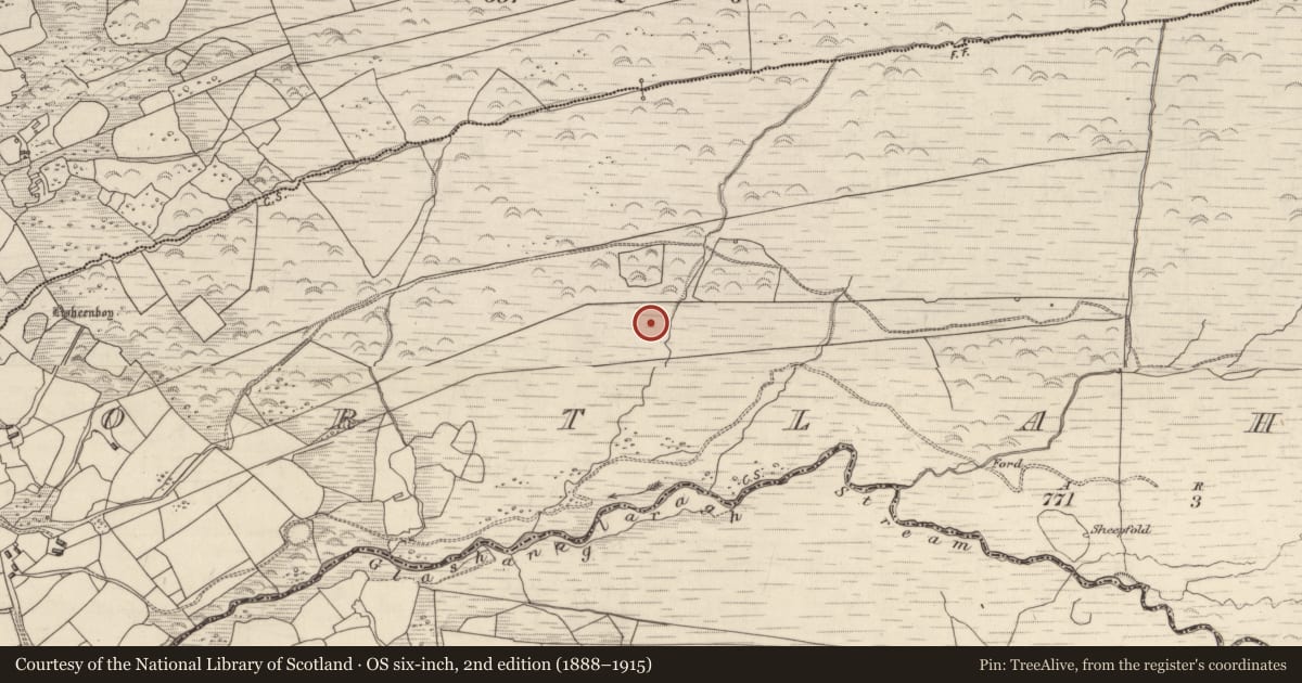 Ordnance Survey six-inch map, 2nd edition (1888–1915) covering the location of Enclosure, Gortlahard, County Kerry, with a pin at the register's coordinates