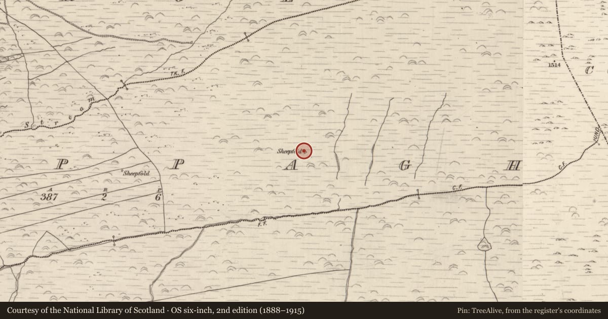 Ordnance Survey six-inch map, 2nd edition (1888–1915) covering the location of Hut site, Cappagh, County Kerry, with a pin at the register's coordinates