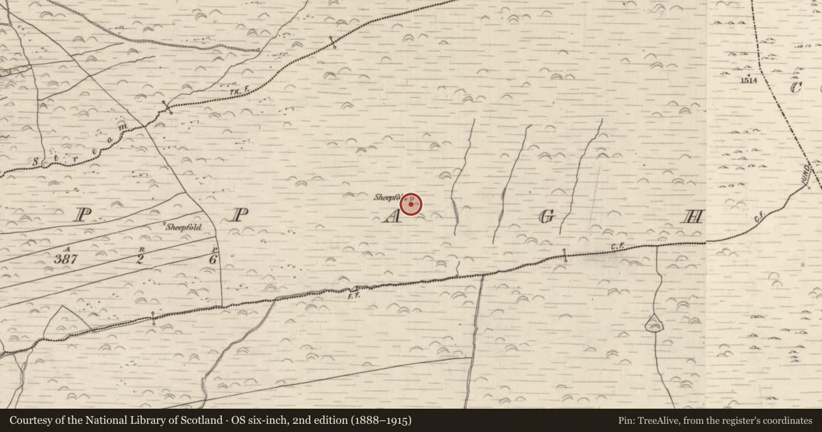 Ordnance Survey six-inch map, 2nd edition (1888–1915) covering the location of Field boundary, Cappagh, County Kerry, with a pin at the register's coordinates