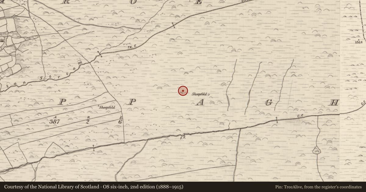 Ordnance Survey six-inch map, 2nd edition (1888–1915) covering the location of Hut site, Cappagh, County Kerry, with a pin at the register's coordinates