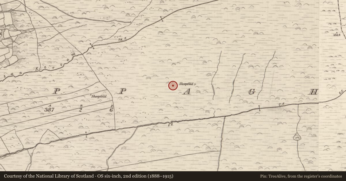 Ordnance Survey six-inch map, 2nd edition (1888–1915) covering the location of Hut site, Cappagh, County Kerry, with a pin at the register's coordinates