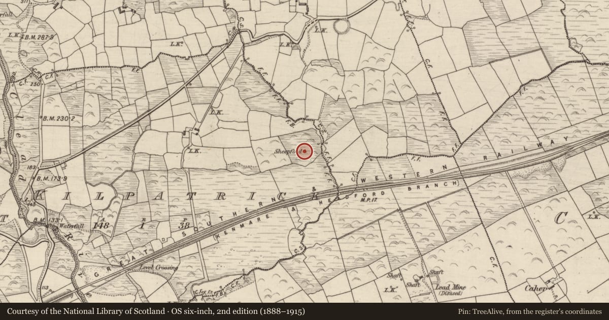 Ordnance Survey six-inch map, 2nd edition (1888–1915) covering the location of Hut site, Kilpatrick, County Kerry, with a pin at the register's coordinates