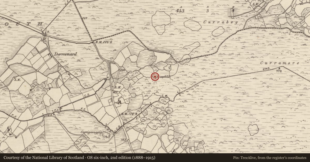 Ordnance Survey six-inch map, 2nd edition (1888–1915) covering the location of Enclosure, Currabeg, County Kerry, with a pin at the register's coordinates