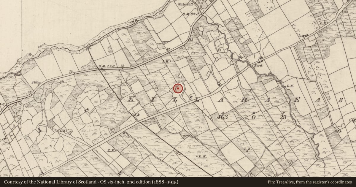 Ordnance Survey six-inch map, 2nd edition (1888–1915) covering the location of Enclosure, Killaha East, County Kerry, with a pin at the register's coordinates