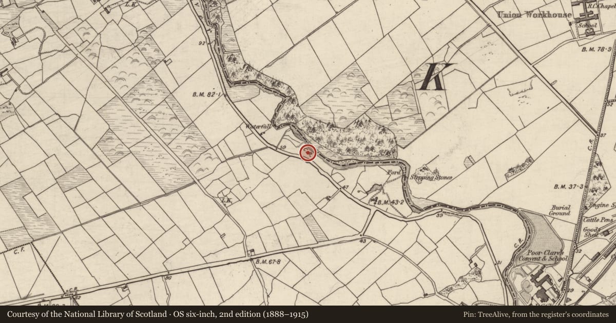 Ordnance Survey six-inch map, 2nd edition (1888–1915) covering the location of Metalworking site, Gortamullin, County Kerry, with a pin at the register's coordinates