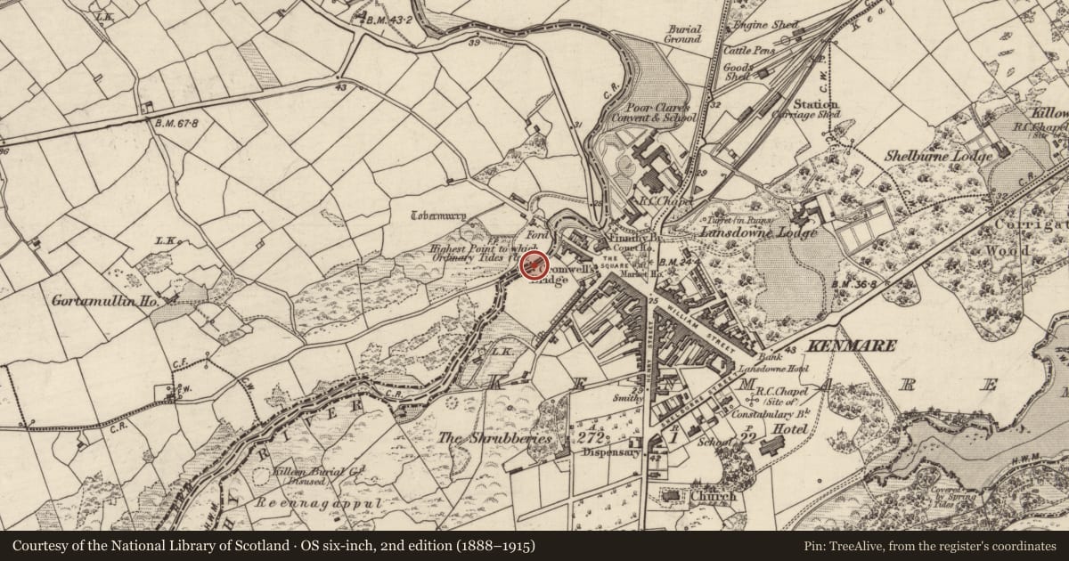Ordnance Survey six-inch map, 2nd edition (1888–1915) covering the location of Bridge, Gortamullin, Kenmare, County Kerry, with a pin at the register's coordinates