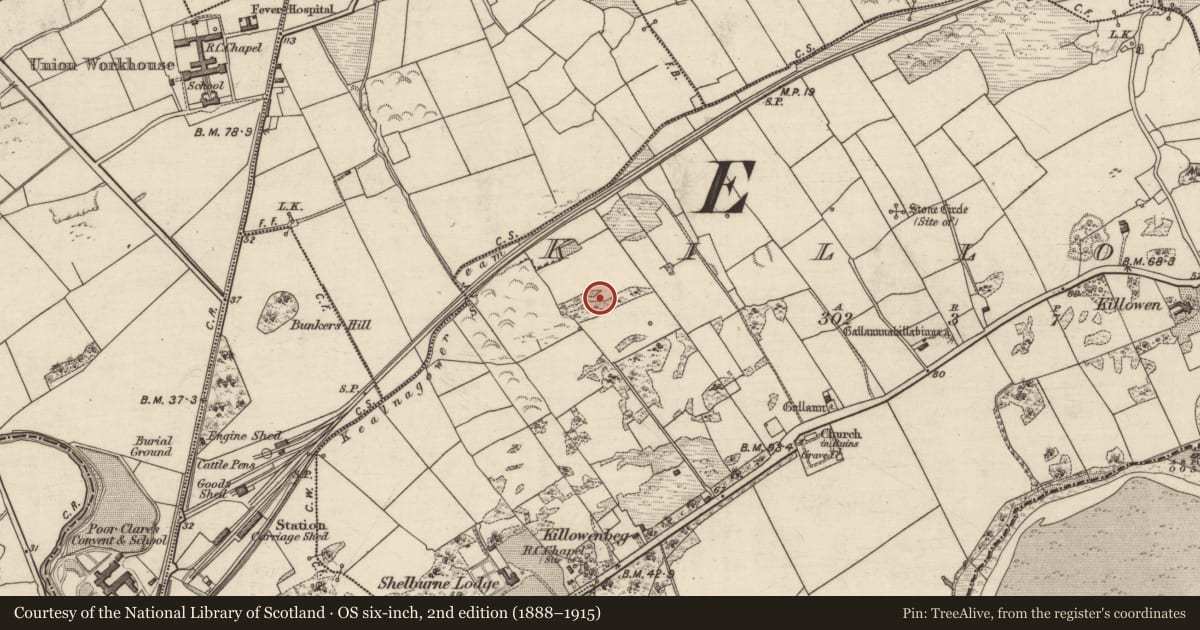 Ordnance Survey six-inch map, 2nd edition (1888–1915) covering the location of Burnt spread, Killowen, County Kerry, with a pin at the register's coordinates