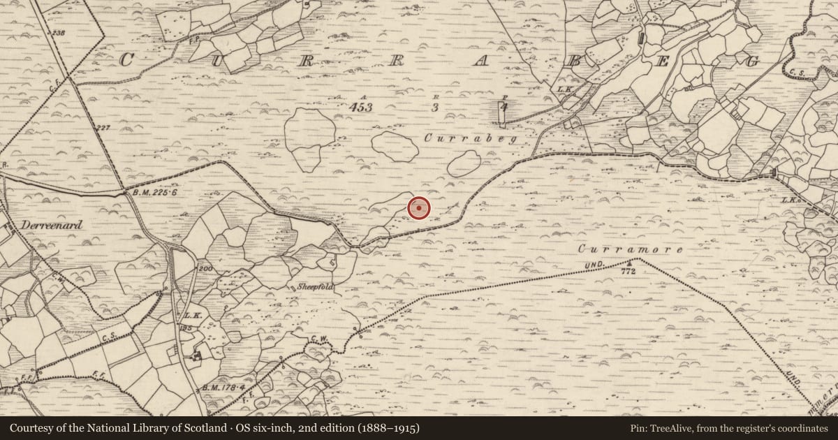 Ordnance Survey six-inch map, 2nd edition (1888–1915) covering the location of Hut site, Currabeg, County Kerry, with a pin at the register's coordinates