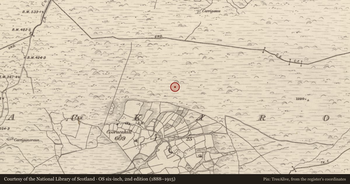 Ordnance Survey six-inch map, 2nd edition (1888–1915) covering the location of Hut site, Lackaroe, County Kerry, with a pin at the register's coordinates