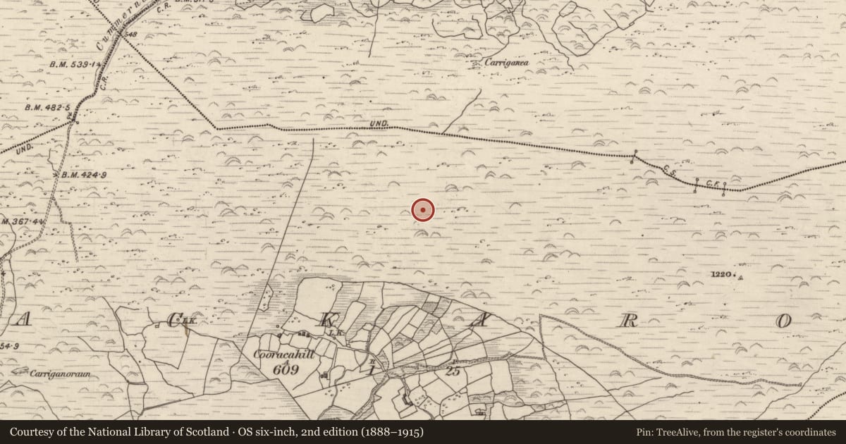 Ordnance Survey six-inch map, 2nd edition (1888–1915) covering the location of Cairn - unclassified, Lackaroe, County Kerry, with a pin at the register's coordinates
