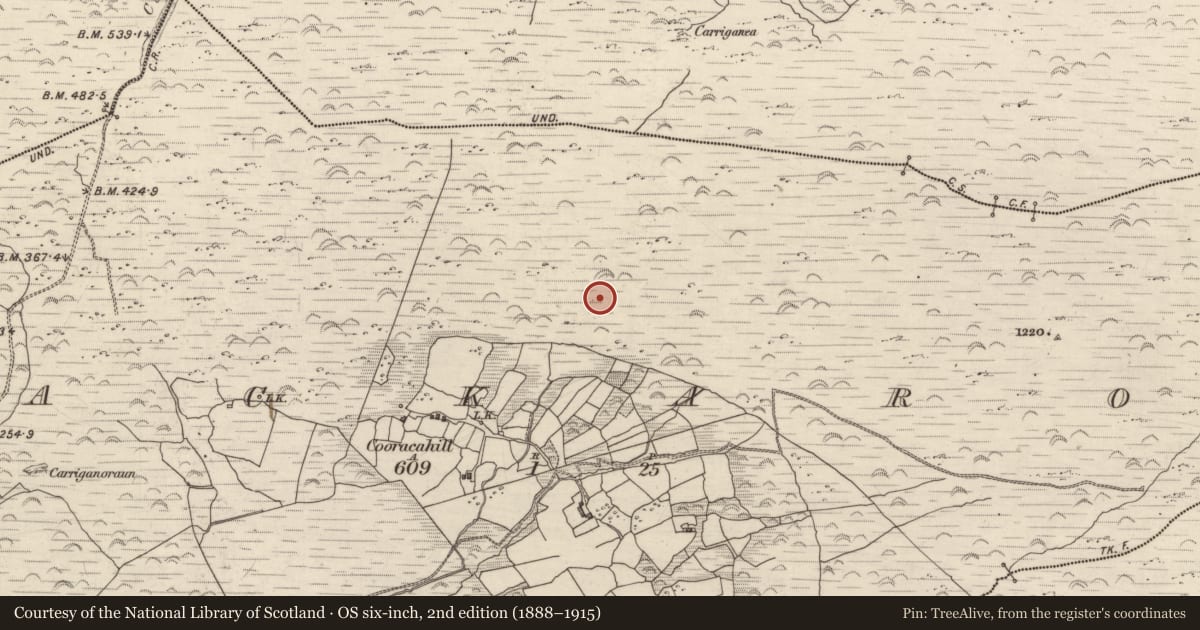Ordnance Survey six-inch map, 2nd edition (1888–1915) covering the location of Enclosure, Lackaroe, County Kerry, with a pin at the register's coordinates