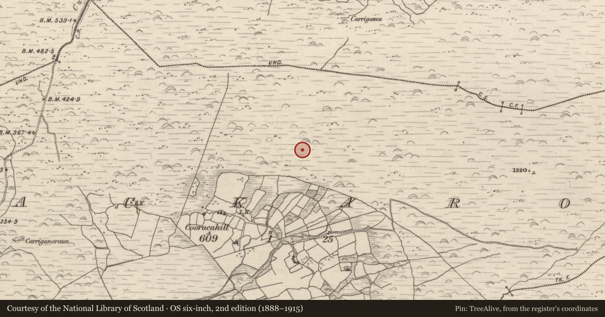 Ordnance Survey six-inch map, 2nd edition (1888–1915) covering the location of Hut site, Lackaroe, County Kerry, with a pin at the register's coordinates