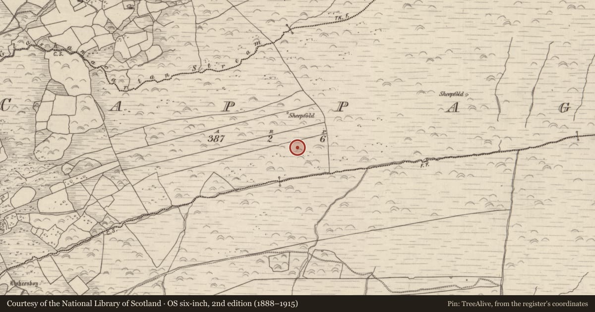 Ordnance Survey six-inch map, 2nd edition (1888–1915) covering the location of Standing stone, Cappagh, County Kerry, with a pin at the register's coordinates